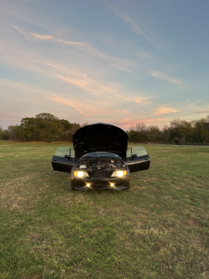 1998 BMW M Roadster in Cosmos Black Metallic over Black Nappa