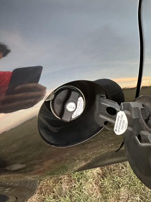 1998 BMW M Roadster in Cosmos Black Metallic over Black Nappa