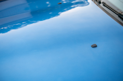 1998 BMW M Roadster in Estoril Blue Metallic over Estoril Blue & Black Nappa