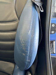 1998 BMW M Roadster in Estoril Blue Metallic over Estoril Blue & Black Nappa
