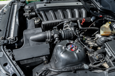 1999 BMW M Roadster in Cosmos Black Metallic over Dark Gray & Black Nappa