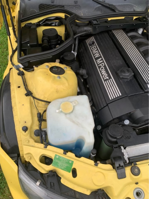 1999 BMW M Roadster in Dakar Yellow 2 over Black Nappa