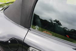1999 BMW M Roadster in Cosmos Black Metallic over Black Nappa