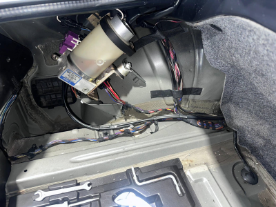 1999 BMW M Roadster in Cosmos Black Metallic over Black Nappa