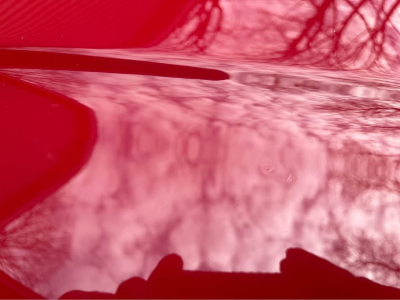 2000 BMW M Roadster in Imola Red 2 over Imola Red & Black Nappa
