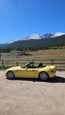 2000 BMW M Roadster in Dakar Yellow 2 over Black Nappa