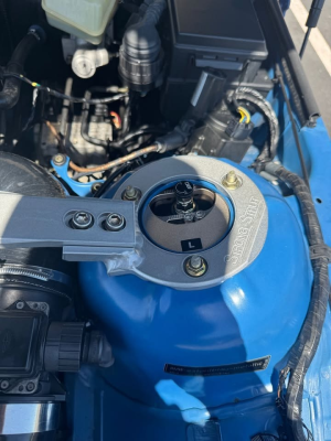 2000 BMW M Roadster in Estoril Blue Metallic over Estoril Blue & Black Nappa