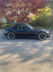 2000 BMW M Roadster in Cosmos Black Metallic over Black Nappa