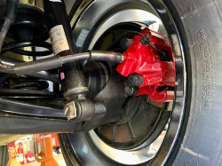 2000 BMW M Roadster in Dakar Yellow 2 over Black Nappa