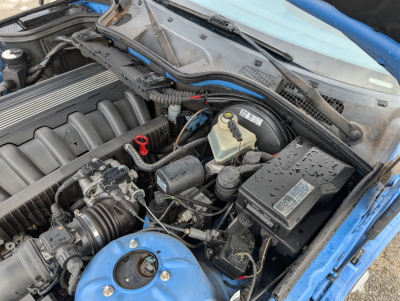 2000 BMW M Roadster in Estoril Blue Metallic over Estoril Blue & Black Nappa