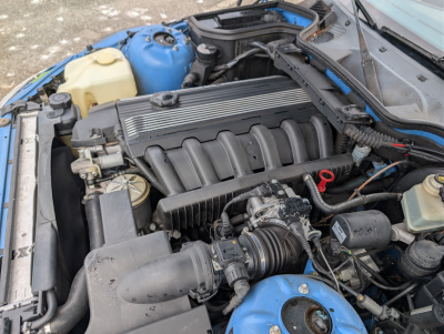 2000 BMW M Roadster in Estoril Blue Metallic over Estoril Blue & Black Nappa