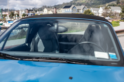 2002 BMW M Roadster in Laguna Seca Blue over Dark Gray & Black Nappa