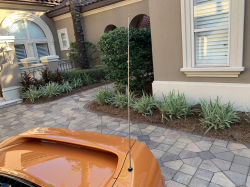 2005 Acura NSX in Imola Orange over Orange