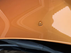 2005 Acura NSX in Imola Orange over Orange