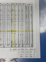 2002 Acura NSX in Spa Yellow over Black