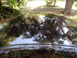 1994 Acura NSX in Formula Red over Tan