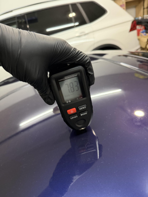 1996 Acura NSX in Purple over Tan