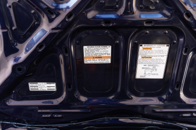 1996 Acura NSX in Purple over Tan