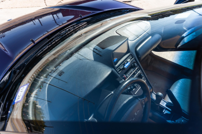 1996 Acura NSX in Purple over Tan