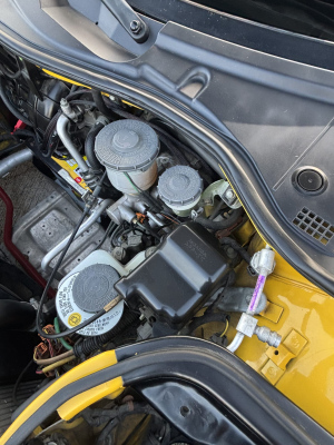 1998 Acura NSX in Spa Yellow over Black