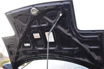 1995 Acura NSX in Purple over Tan