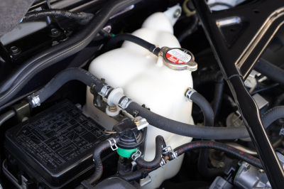 1995 Acura NSX in Purple over Tan