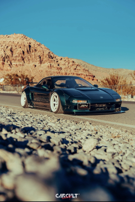 1991 Acura NSX in Green over Other