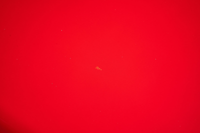 1991 Acura NSX in Formula Red over Ivory