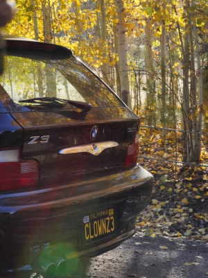 2001 BMW Z3 Coupe in Jet Black 2 over Walnut