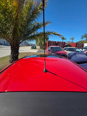 2000 BMW Z3 Coupe in Hell Red over E36 Sand Beige