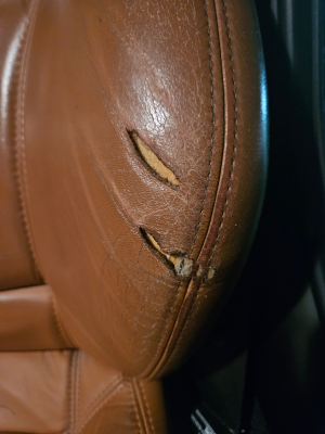 1999 BMW Z3 Coupe in Jet Black 2 over Walnut