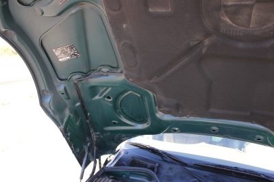 1999 BMW Z3 Coupe in Boston Green Metallic over E36 Sand Beige