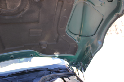 1999 BMW Z3 Coupe in Boston Green Metallic over E36 Sand Beige