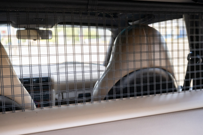 2000 BMW Z3 Coupe in Alpine White 3 over E36 Sand Beige