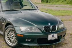 2001 BMW Z3 Coupe in Oxford Green Metallic over E36 Sand Beige