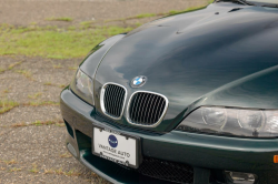 2001 BMW Z3 Coupe in Oxford Green Metallic over E36 Sand Beige