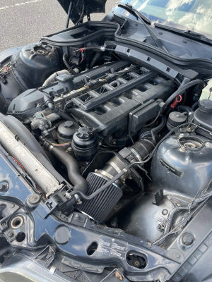 2001 BMW Z3 Coupe in Oxford Green Metallic over E36 Sand Beige