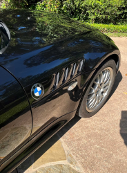 2001 BMW Z3 Coupe in Cosmos Black Metallic over E36 Sand Beige