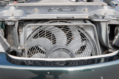 2001 BMW Z3 Coupe in Oxford Green Metallic over E36 Sand Beige