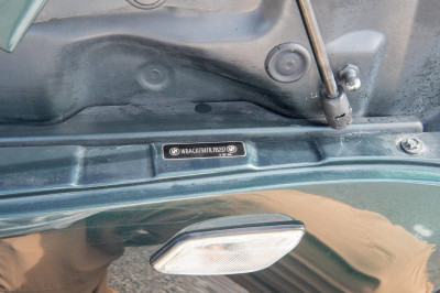 2001 BMW Z3 Coupe in Oxford Green Metallic over E36 Sand Beige