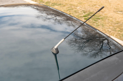 2001 BMW Z3 Coupe in Oxford Green Metallic over E36 Sand Beige
