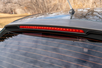 2001 BMW Z3 Coupe in Oxford Green Metallic over E36 Sand Beige