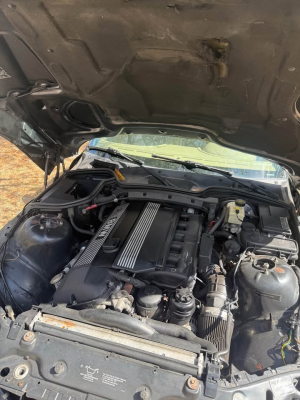 2001 BMW Z3 Coupe in Oxford Green Metallic over E36 Sand Beige