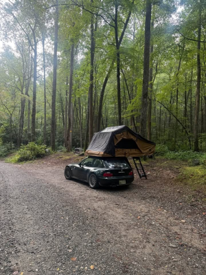 2001 BMW Z3 Coupe in Oxford Green Metallic over E36 Sand Beige