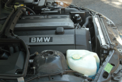 2001 BMW Z3 Coupe in Oxford Green Metallic over Extended Walnut