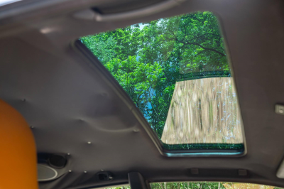 2001 BMW Z3 Coupe in Oxford Green Metallic over Extended Walnut