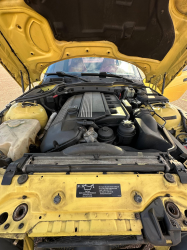 2001 BMW Z3 Coupe in Dakar Yellow 2 over Extended Dream Red