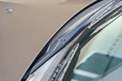 2006 BMW Z4 M Coupe in Sepang Bronze Metallic over Light Sepang Bronze Extended Nappa