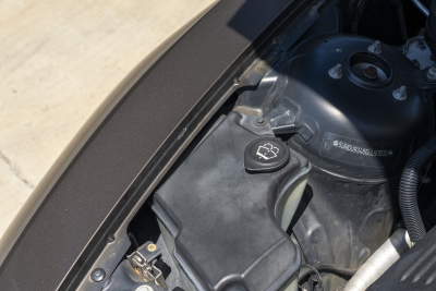 2006 BMW Z4 M Coupe in Sepang Bronze Metallic over Light Sepang Bronze Extended Nappa