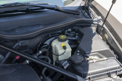 2006 BMW Z4 M Coupe in Sepang Bronze Metallic over Light Sepang Bronze Extended Nappa